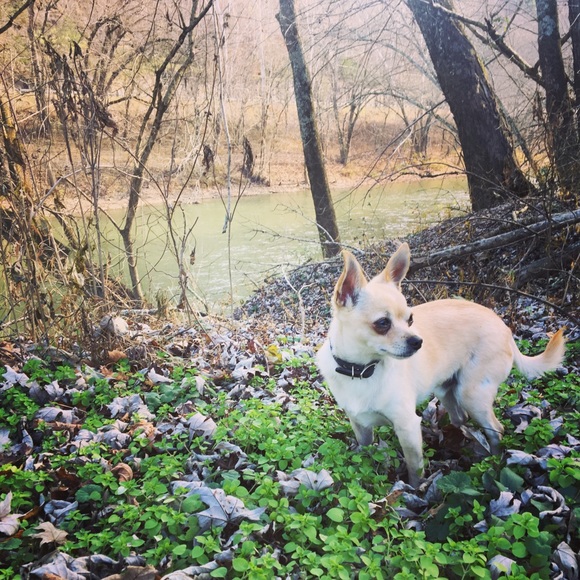 Meet your Posher, Shannon - Picture 3 of 7