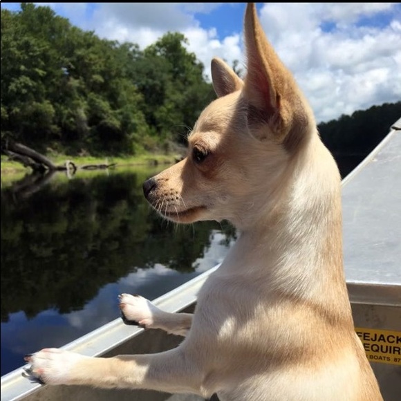 Meet your Posher, Shannon - Picture 4 of 7