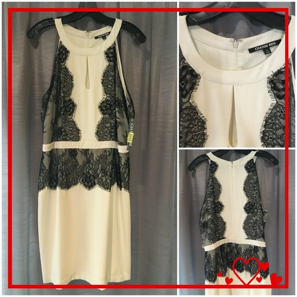 gianni bini black lace dress