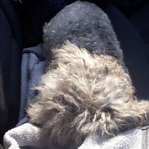 Meet your Posher, Jay