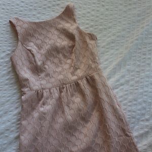 Ann Taylor Blush Jacquard Dress