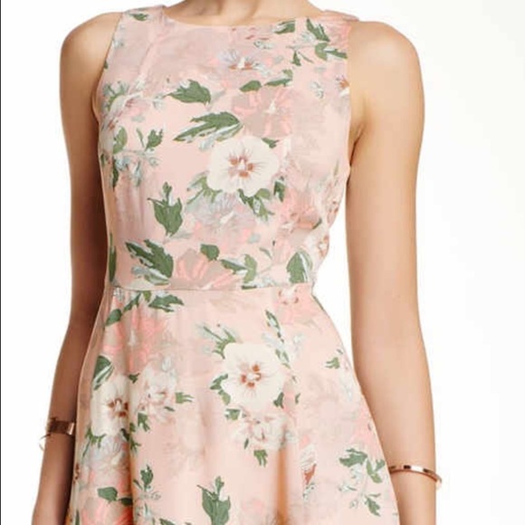 B.B. DAKOTA // dress. Size 2. Like new. - Picture 2 of 3