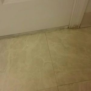 Meet your Posher, Aya