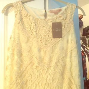 Anthropologie Lace dress 2P