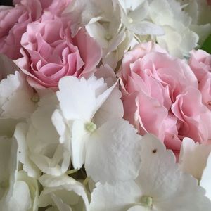 Meet your Posher, Bridget