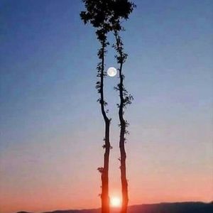 Meet your Posher, Patty