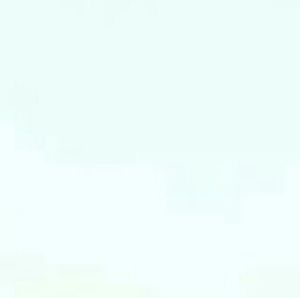 Meet your Posher, Odina