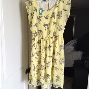 Medium kneelength dress from Maurices