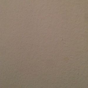 Meet your Posher, Carolina