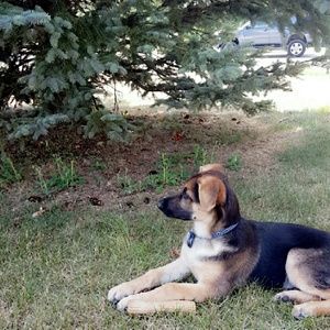 Meet your Posher, Arianda