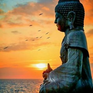 Meet your Posher, Indu