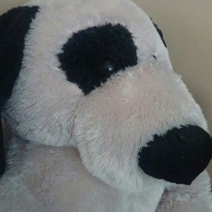 Meet your Posher, Benjamin