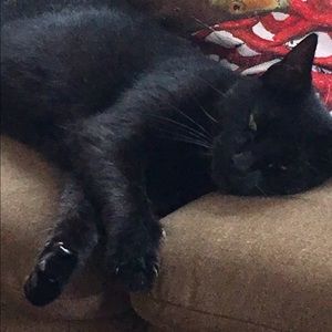 Meet your Posher, Joanne