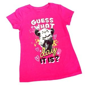 Hybrid Girls Humpday Graphic Tee