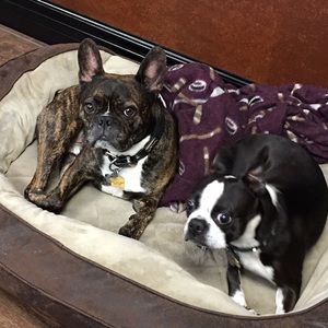 Meet your Posher, Beth