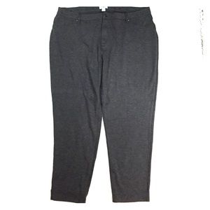 26W Cato Ponte Pant