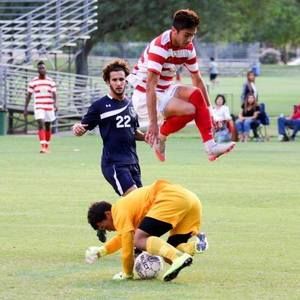 Meet your Posher, Liz