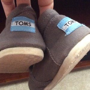 Grey Toms