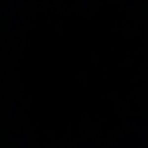 Meet your Posher, Pang