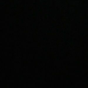 Meet your Posher, Dylan