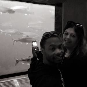 Meet your Posher, Trisha