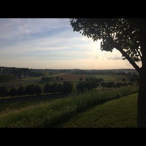 Meet your Posher, Alexia