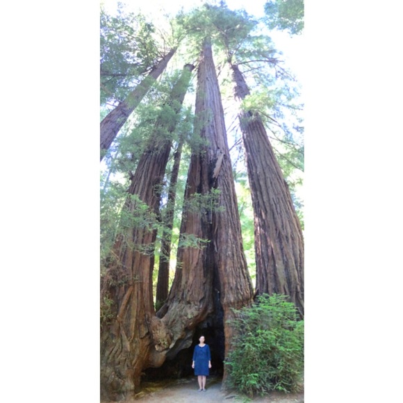 Meet your Posher, Sarah - Picture 3 of 3