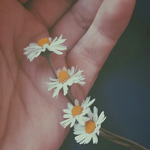 Meet your Posher, Dominique - Picture 1 of 1