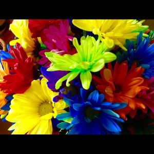 Meet your Posher, Mackenna