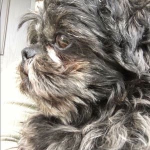 Meet your Posher, Peggy