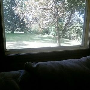 Meet your Posher, Deb