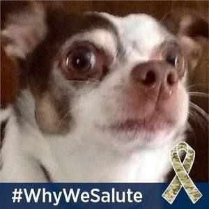 Meet your Posher, Tracy