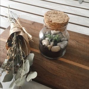 Vintage jar with succulents