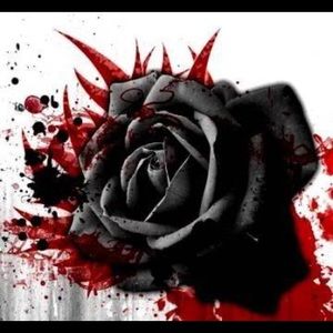 Meet your Posher, Virginia