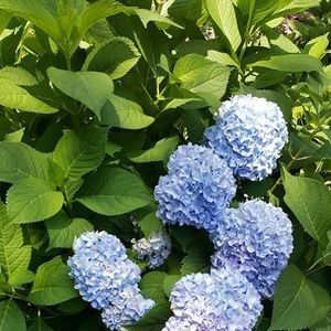 Meet your Posher, Joanne