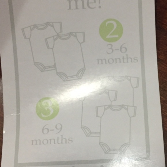 SOLD NWT Five Onesies - two 3-6 mo, three 6-9 mos - Picture 3 of 4