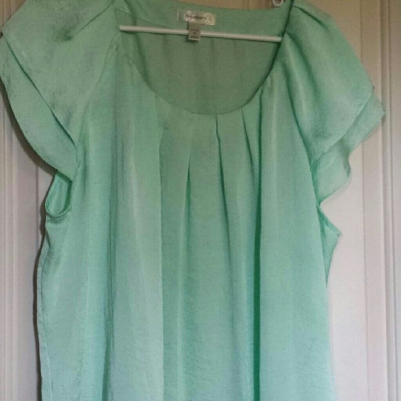 Dressbarn Blouse 3X