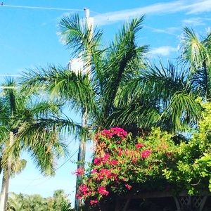 Meet your Posher, Kymberly