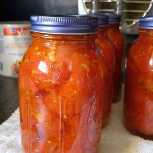 Meet your Posher, Donna