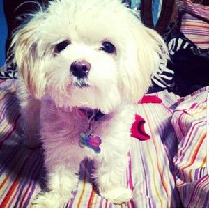 Meet your Posher, Ashley