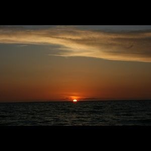 Meet your Posher, Elvia