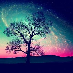 Meet your Posher, Tori