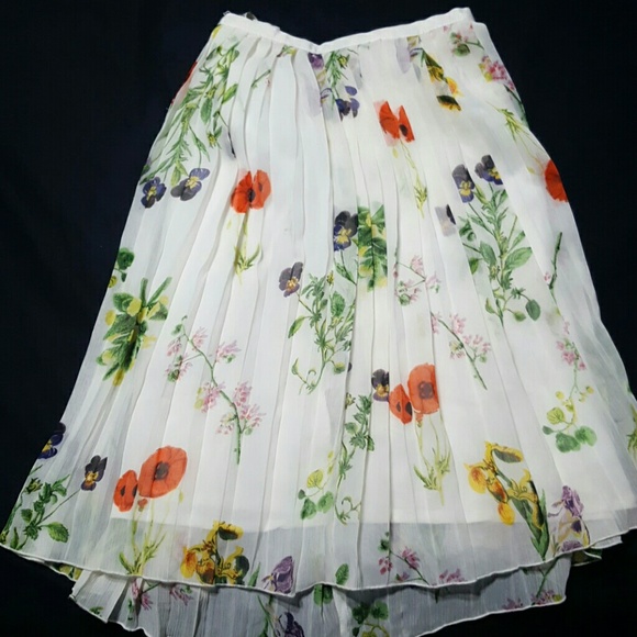 BB Dakota Dresses & Skirts - Pleated skirt