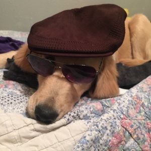 Meet your Posher, Selena