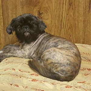 Meet your Posher, Yahaira