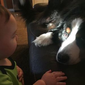 Meet your Posher, Sue