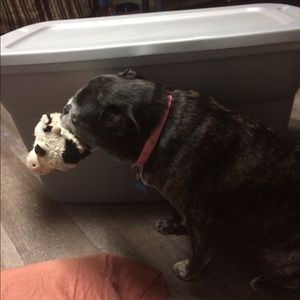 Meet your Posher, Wesley