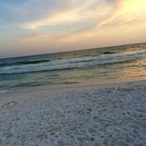 Meet your Posher, Lynn