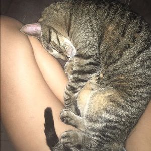 Meet your Posher, Rayna