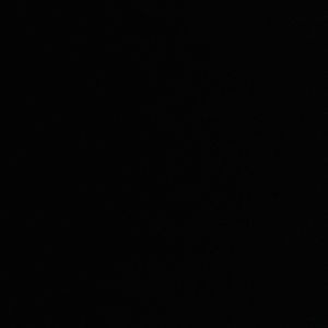 Meet your Posher, Adrienne